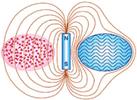 Meissner Effect